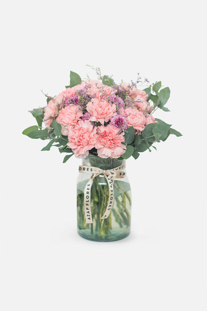 Campo de Claveles - Flores TGZ