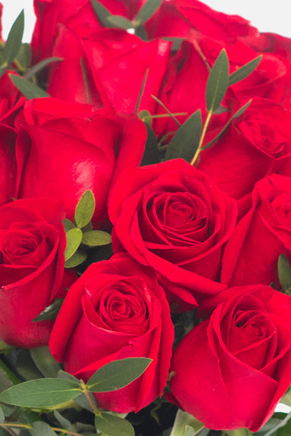 Amor con Rosas - Rosa Roja CEL.