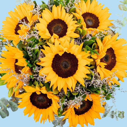 Sonrisa de Sol - Girasoles ACA