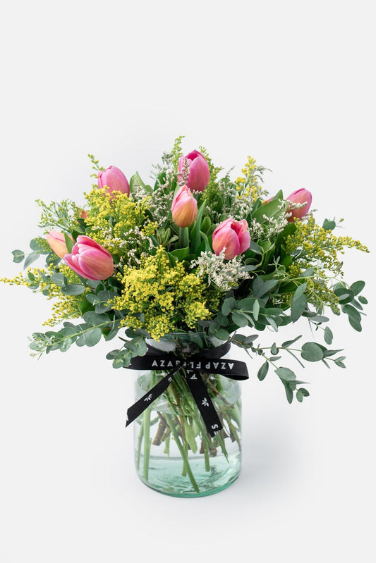 Amistad - Tulipanes CEL.
