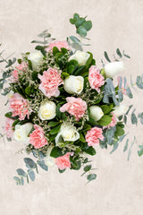 Arabella / Rosa Blanca y Clavel Rosa IRAPUATO