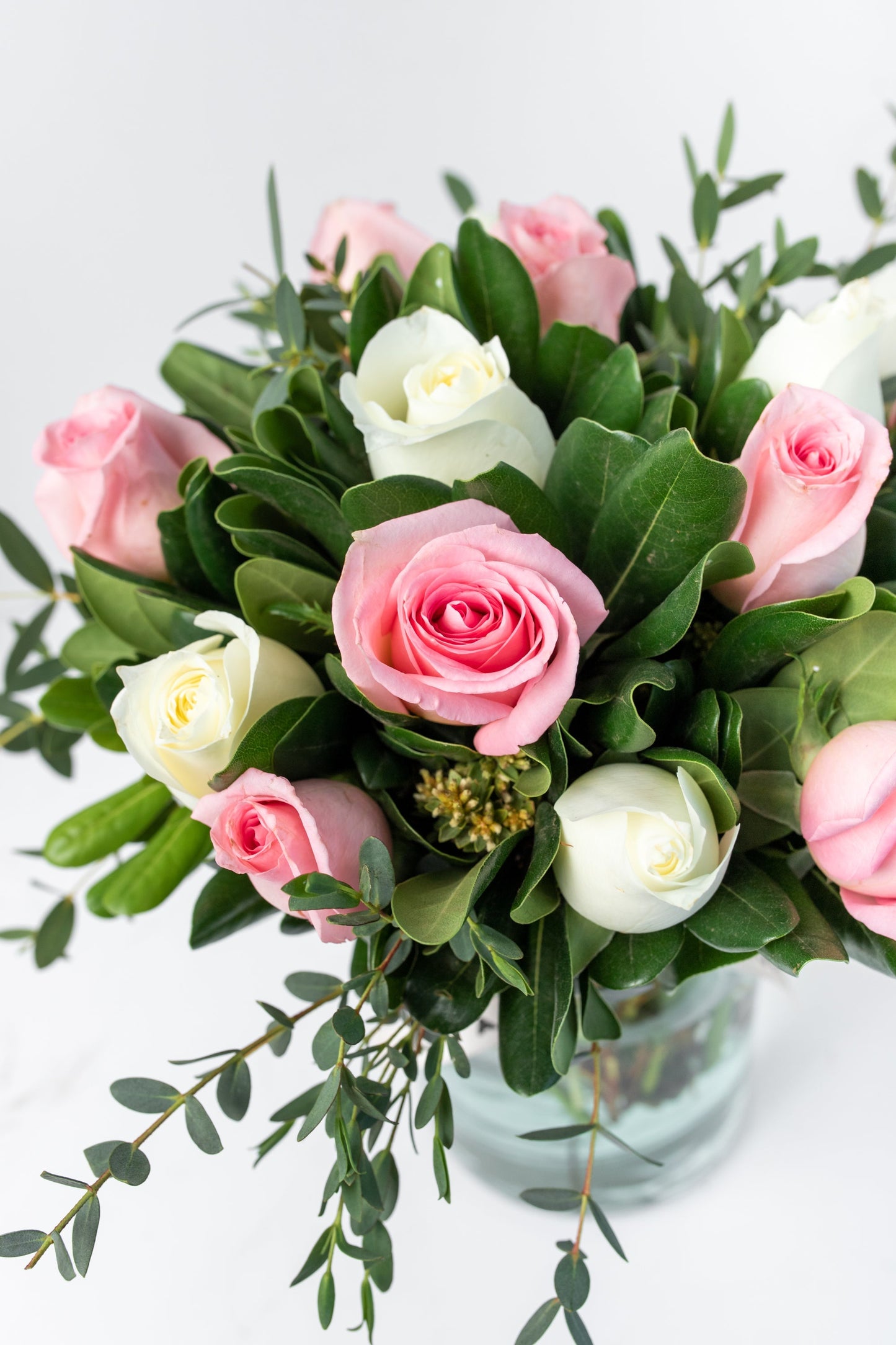 Grecia - Rosas Blancas y Rosas Claritas MERIDA