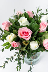 Grecia - Rosas Blancas y Rosas Claritas TGZ