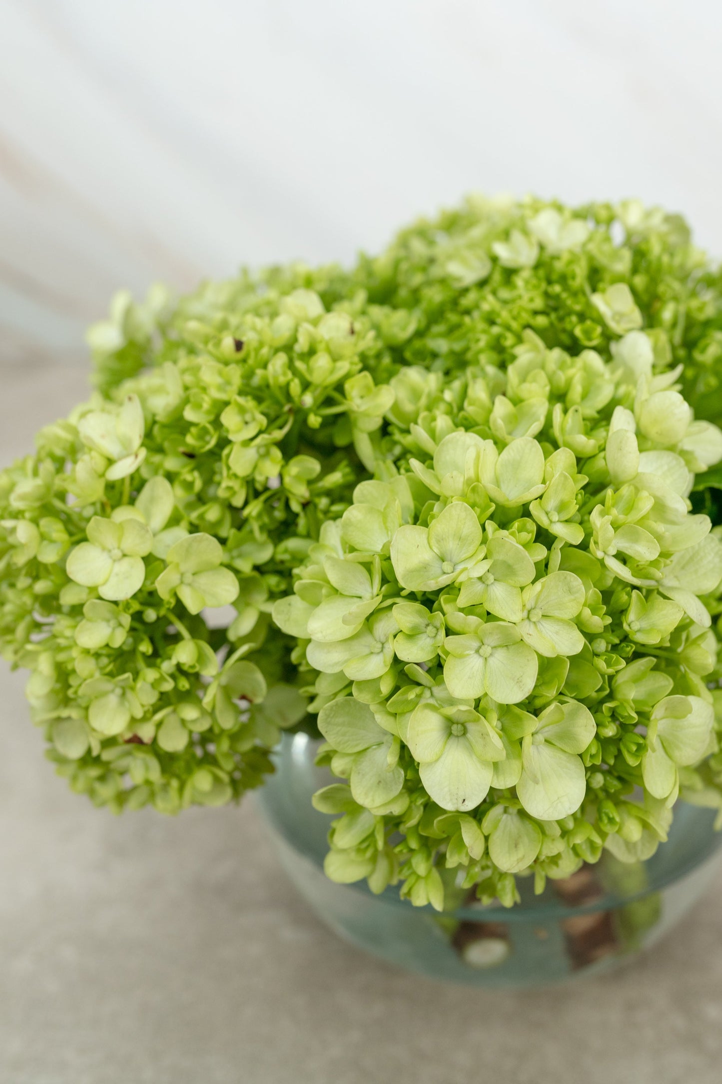 Centro de Mesa 6 - Hortensia con Florero