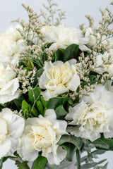 Ramo Rivera Flores - Clavel Blanco CDMX Sur