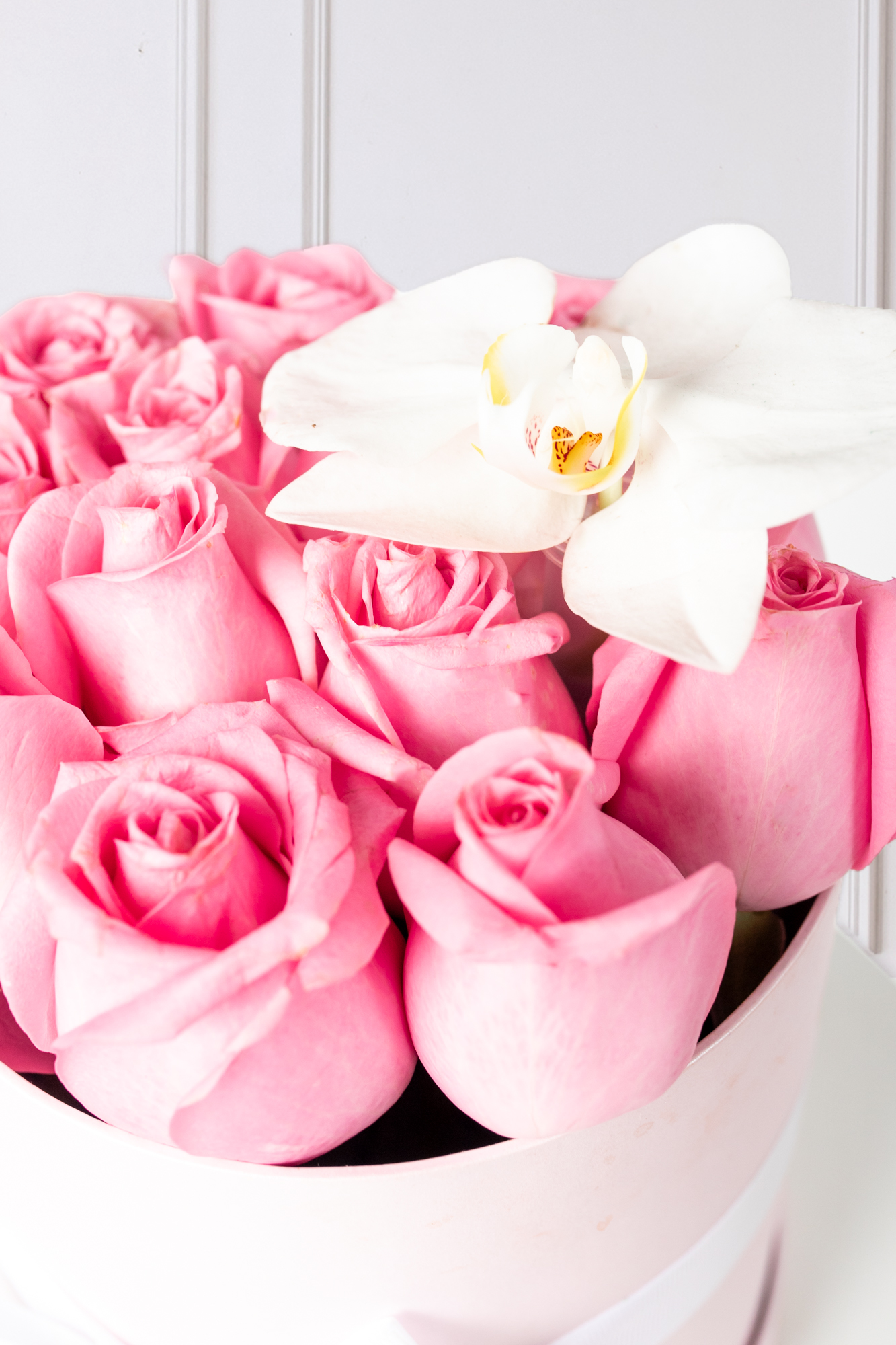 Everest - Box of Claritas Roses and Orchid CH