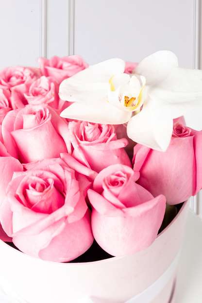 Everest - Caja de Rosas Claritas y Orquídea CH CH/IXT