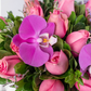 Pink Cloud - Light Pink and Purple Orchid