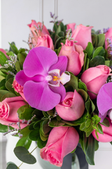 Nube Rosa - Rosa Clarita y Orquídea Morada Atizapán