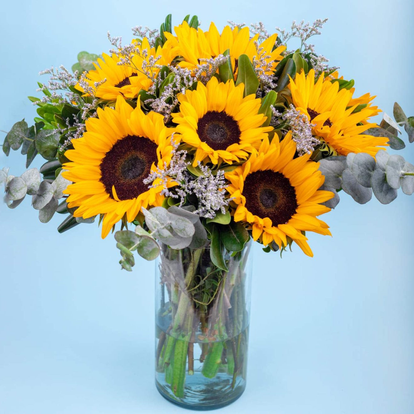 Sonrisa de Sol - Girasoles ACA