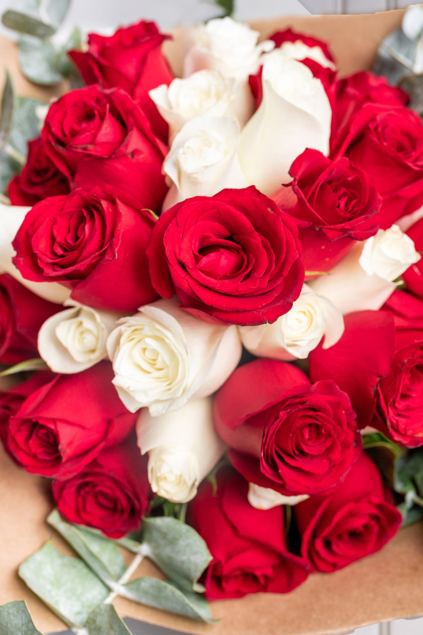 Ramo Buchón - 50 Rosas Roja y Blanca ENS