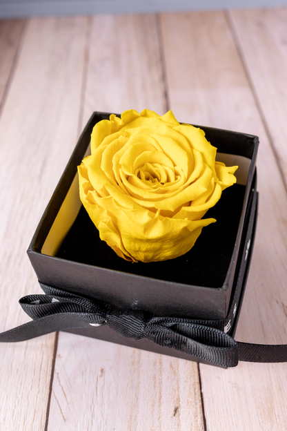 Amar y Ya - Rosa Amarilla Eterna en Caja