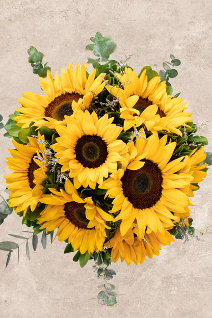 Sonrisa de Sol - Girasoles ACA