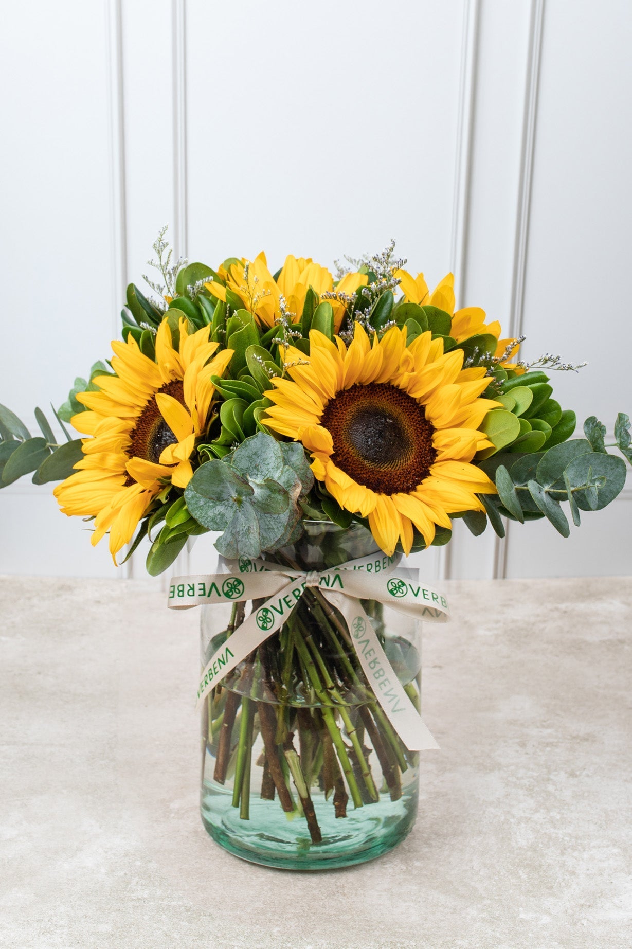 Sonrisa de Sol - Girasoles ENS
