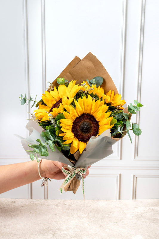 Solecito - Girasoles XAL