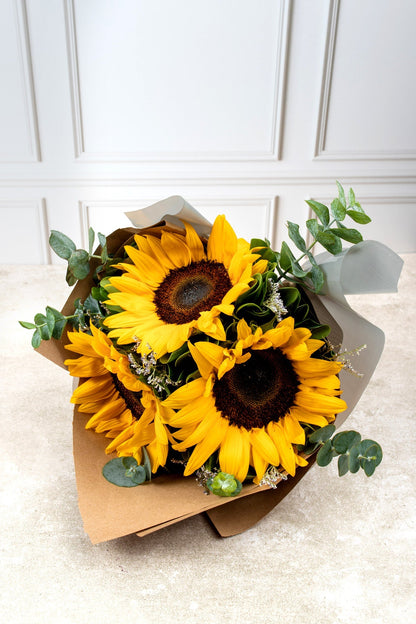 Solecito - Girasoles VILLA