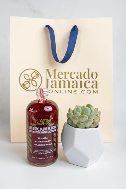 Kit Mezcamaica - Mezcal y Suculenta