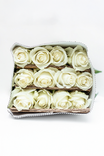 Paquete de 24 Rosas Blancas (Praud)