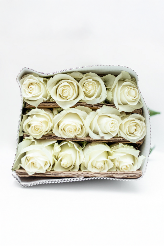 Paquete de 24 Rosas Blancas (Praud)