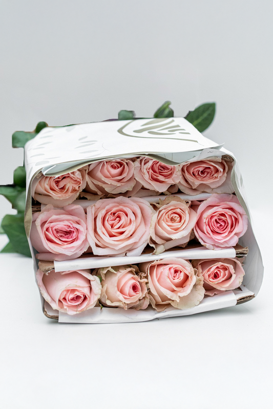 Paquete de 24 Rosas Rosa (Caricia)
