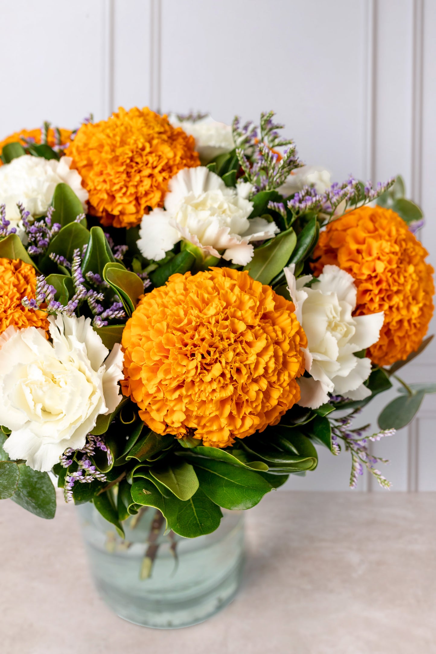 Estaba de Parranda - Cempasúchil y Clavel Blanco