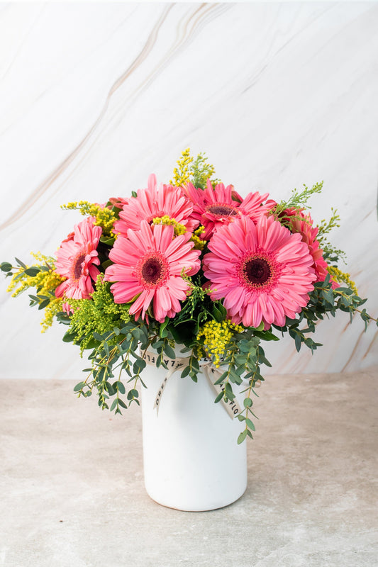 Chispitas de Gerberas - Gerbera Rosa CABOS