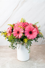 Chispitas de Gerberas - Gerbera Rosa PTO. ESCOND.