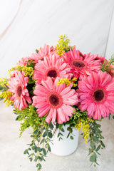 Chispitas de Gerberas // Flores APO