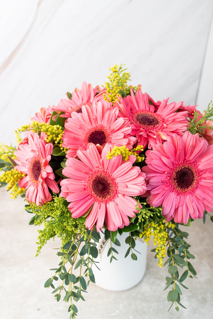 Chispitas de Gerberas - Gerbera Rosa TGZ