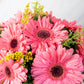 Chispitas de Gerberas // Flores