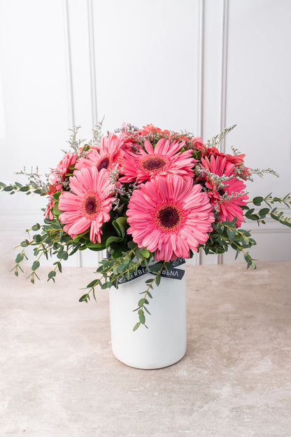 Dulce Primavera - Gerbera Rosa CABOS