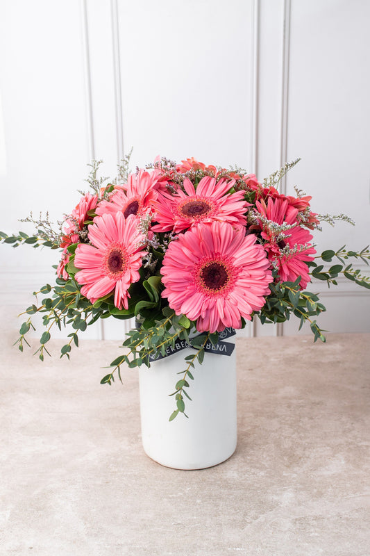 Dulce Primavera - Gerbera Rosa LEON