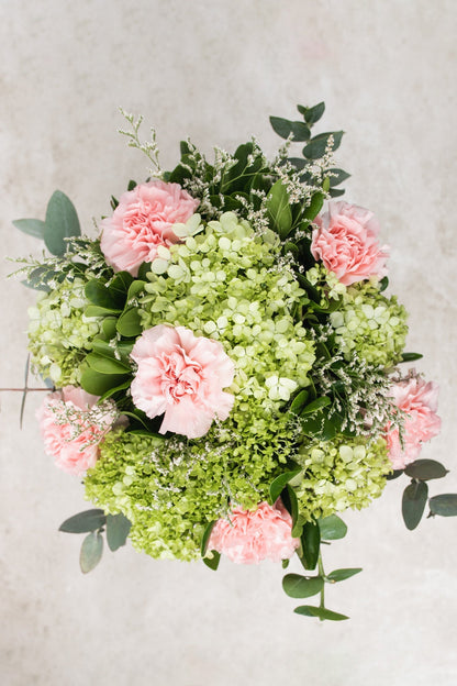 Chai Matcha - Clavel Rosa y Hortensia XAL