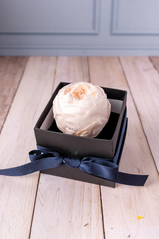 Eternal Peony - In Box