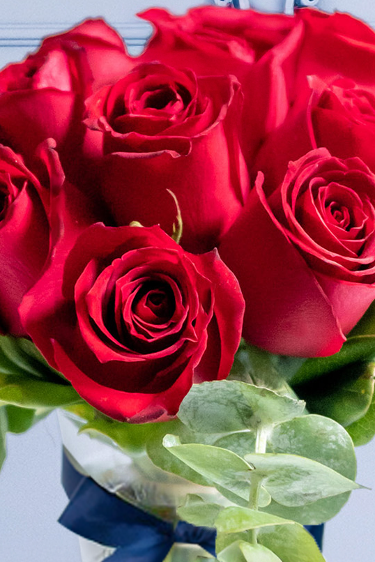 La Vida en Rosa / Arreglo de 12 Rosas Rojas para el 10 de Mayo 10MFA