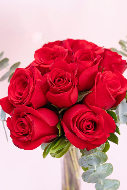 12 Rosas Rojas - Flores XAL