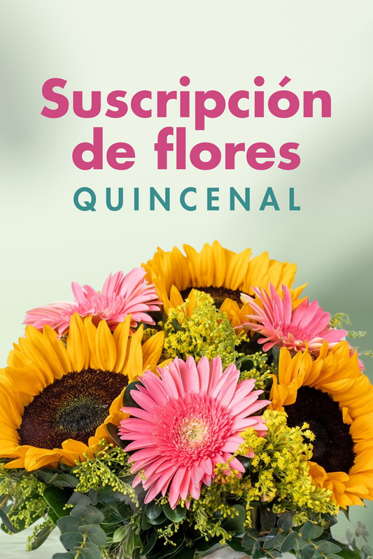 Suscripción Quincenal