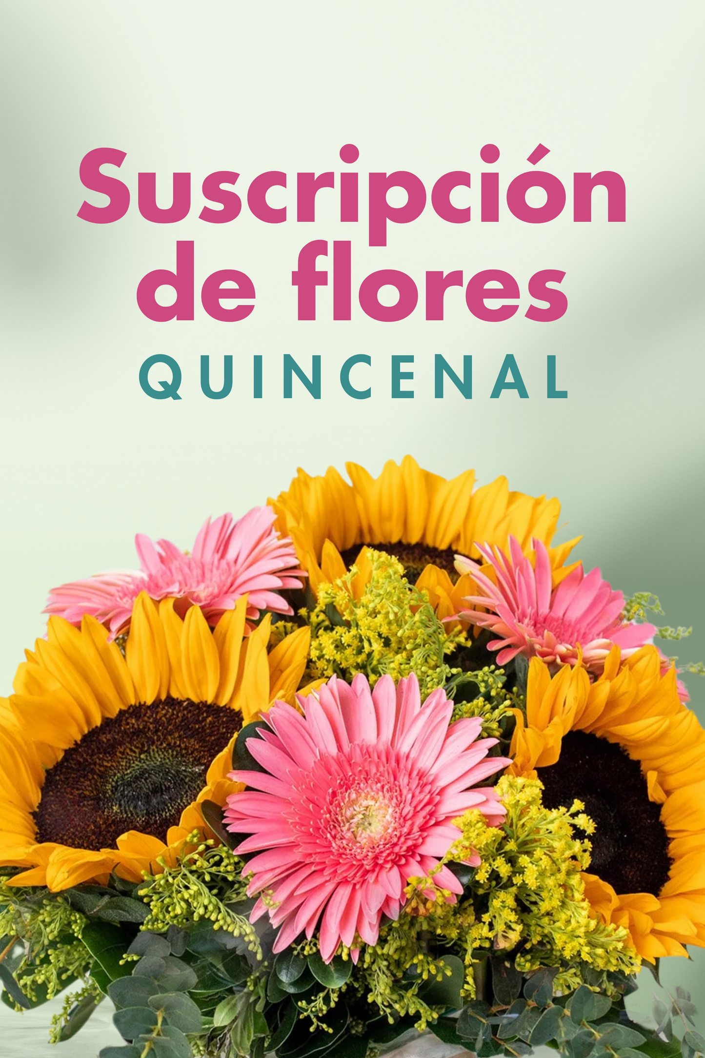 Suscripción / Quincenal