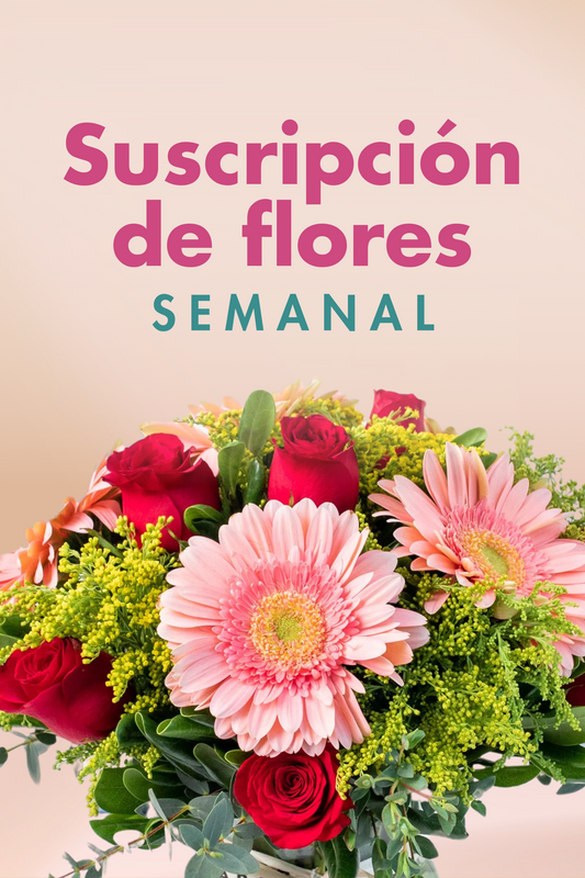 Suscripción Semanal