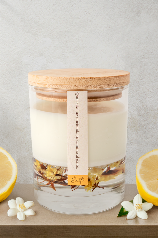 Vela Evocaria - Éxito