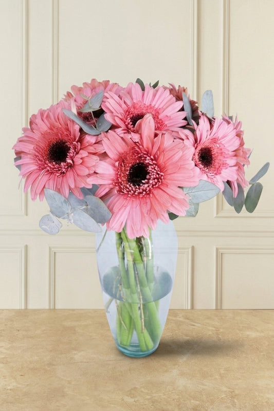 6 Gerberas Rosas - En Barcelo | MJO