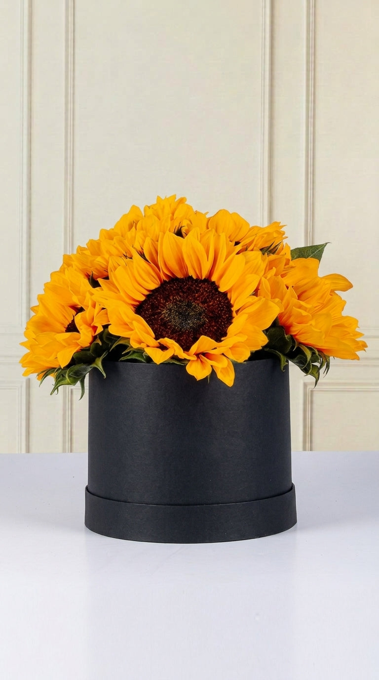 Caja De 7 Girasoles - En Caja Negra | MJO