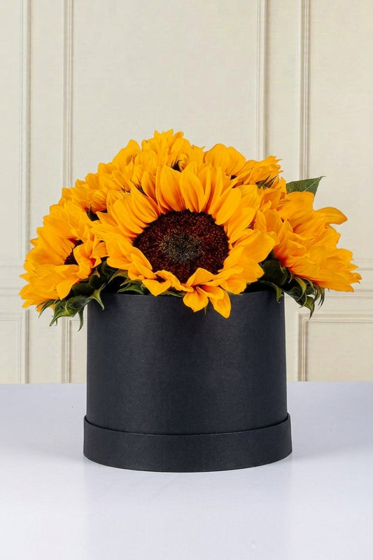 Caja De 7 Girasoles - En Caja Negra | MJO
