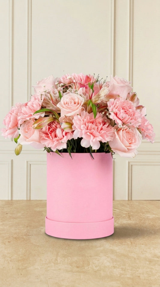 10 Claveles Rosas con Rosa Clarita y Astromelia - En Caja Rosa | MJO