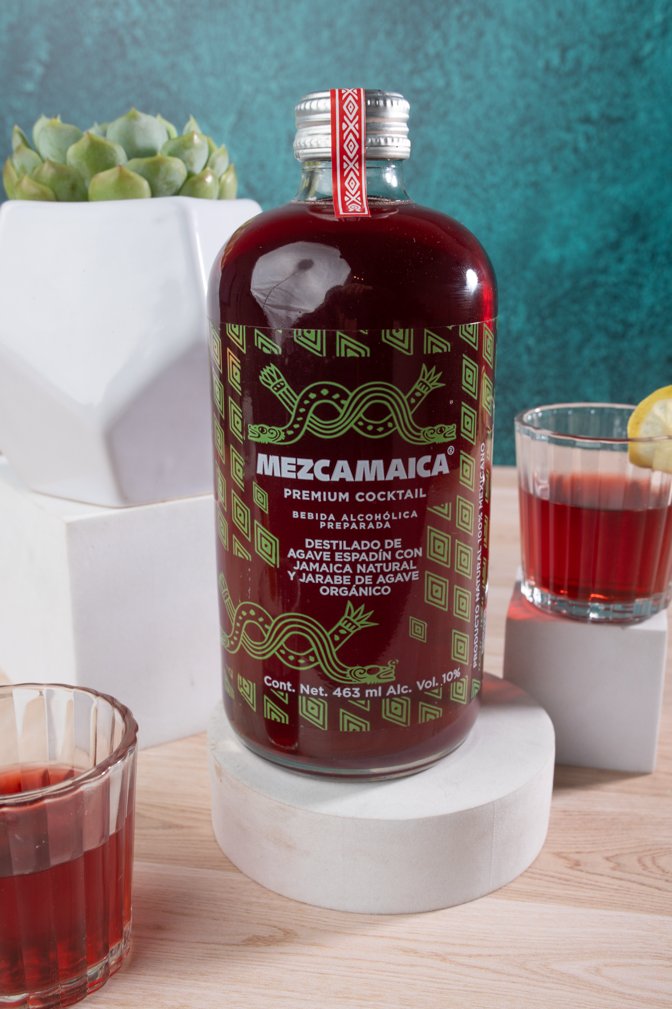 Mezcamaica Kit - Mezcal, Chocolates, Peanuts and Succulent