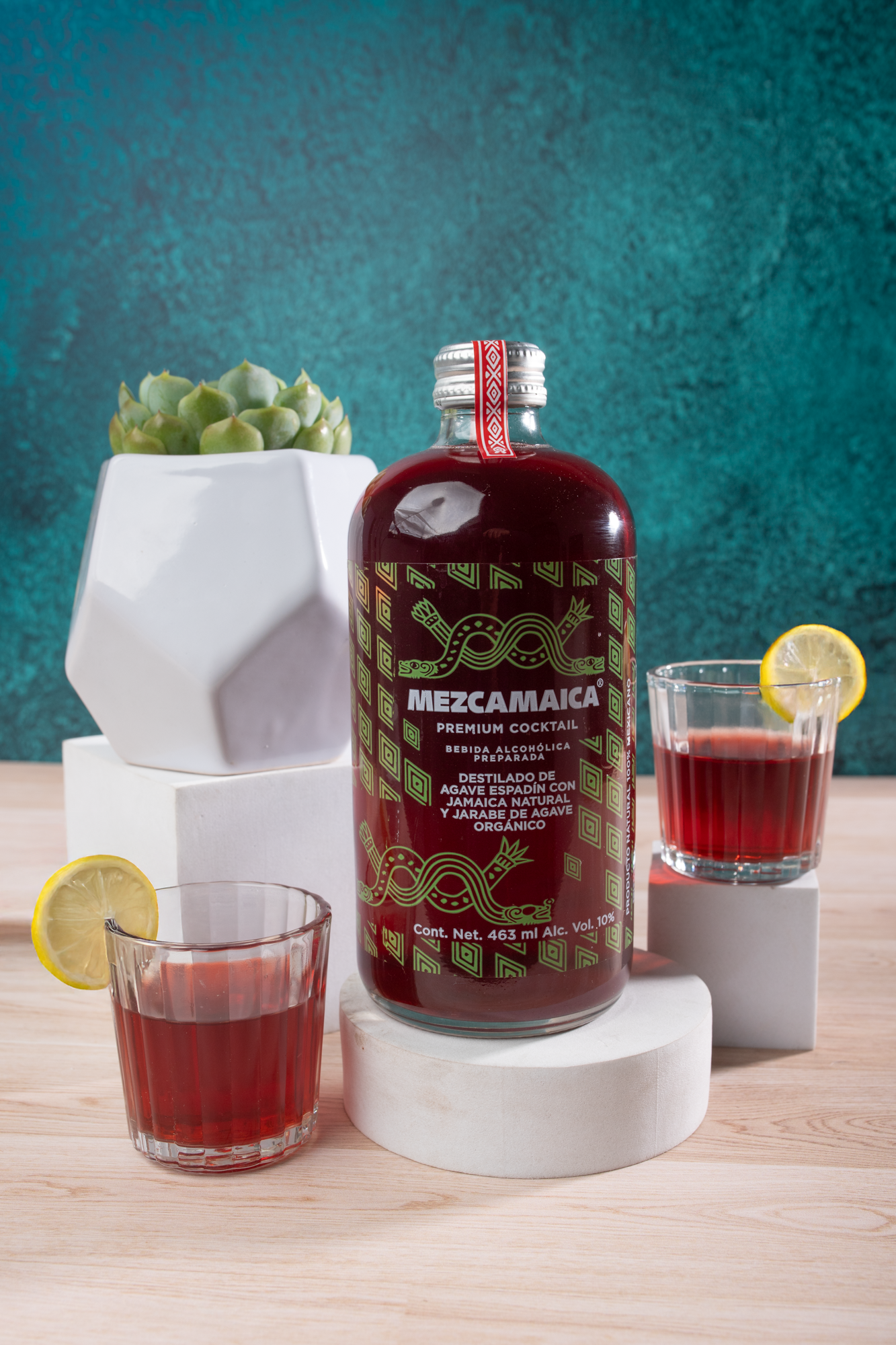 Mezcamaica Kit - Mezcal, Chocolates, Peanuts and Succulent