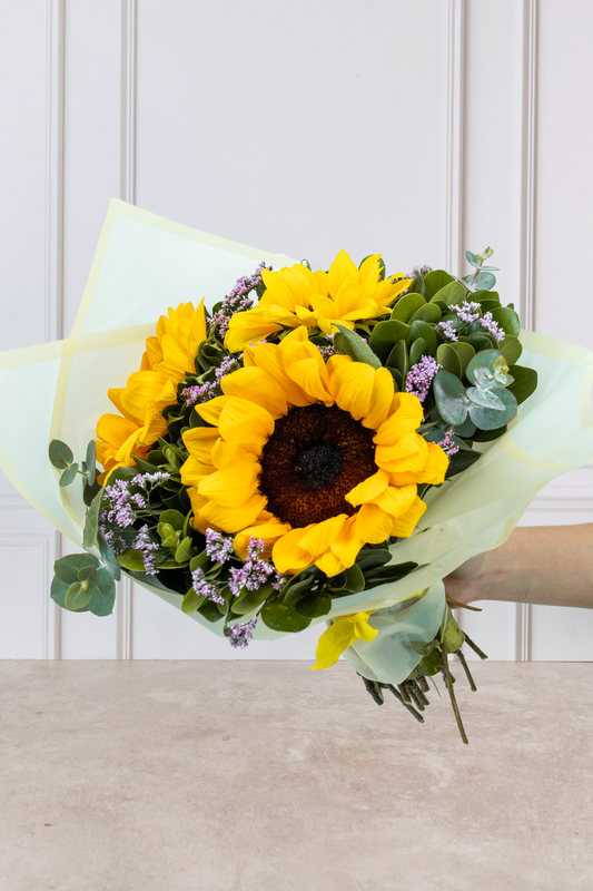 Solecito - Girasoles 21M