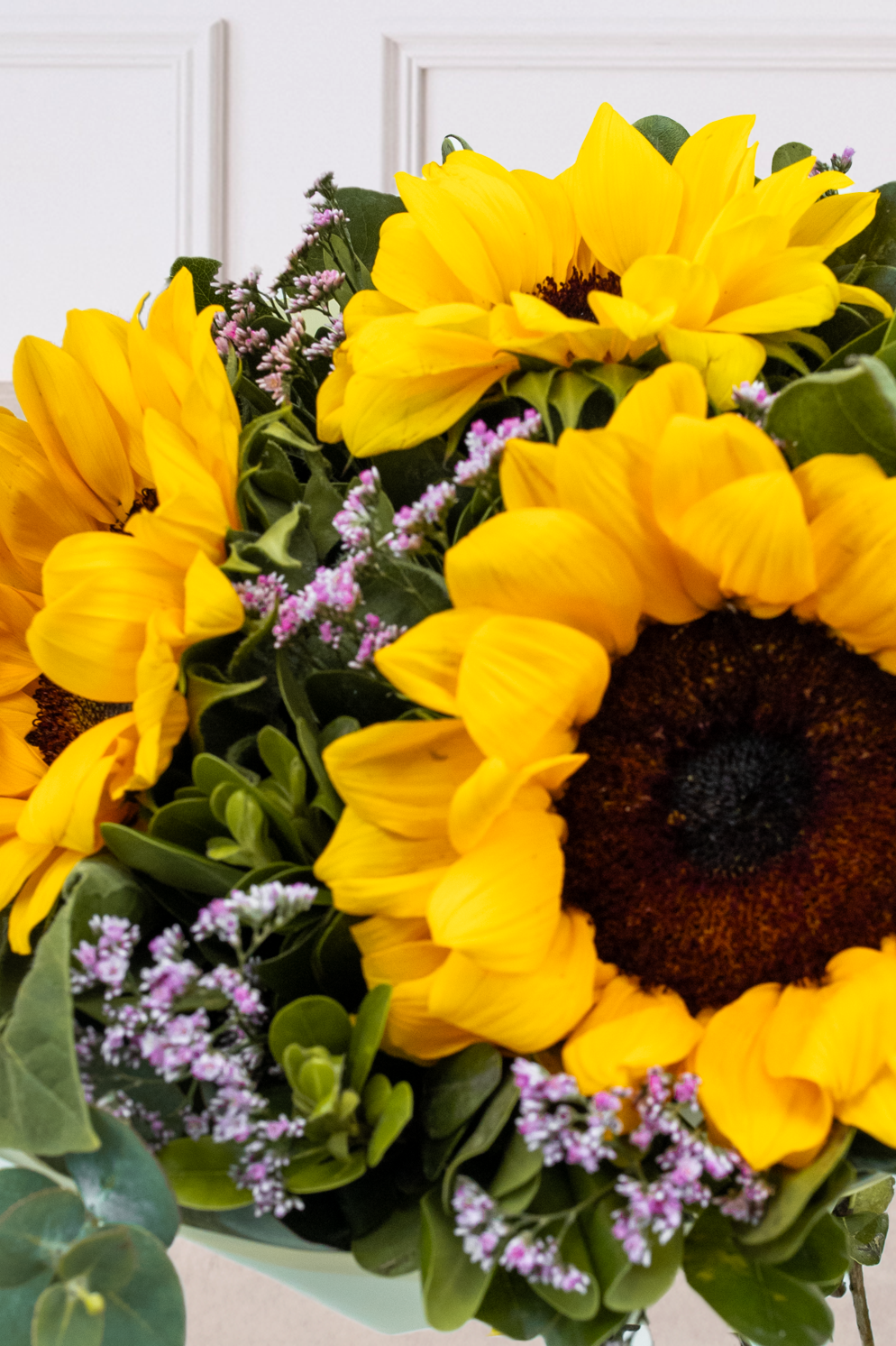 Solecito - Girasoles 21M