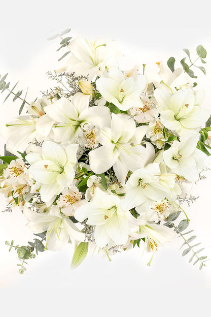 Cotton / White Lilium