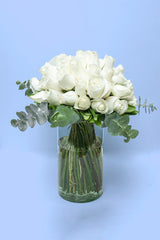Love and Peace // White Rose